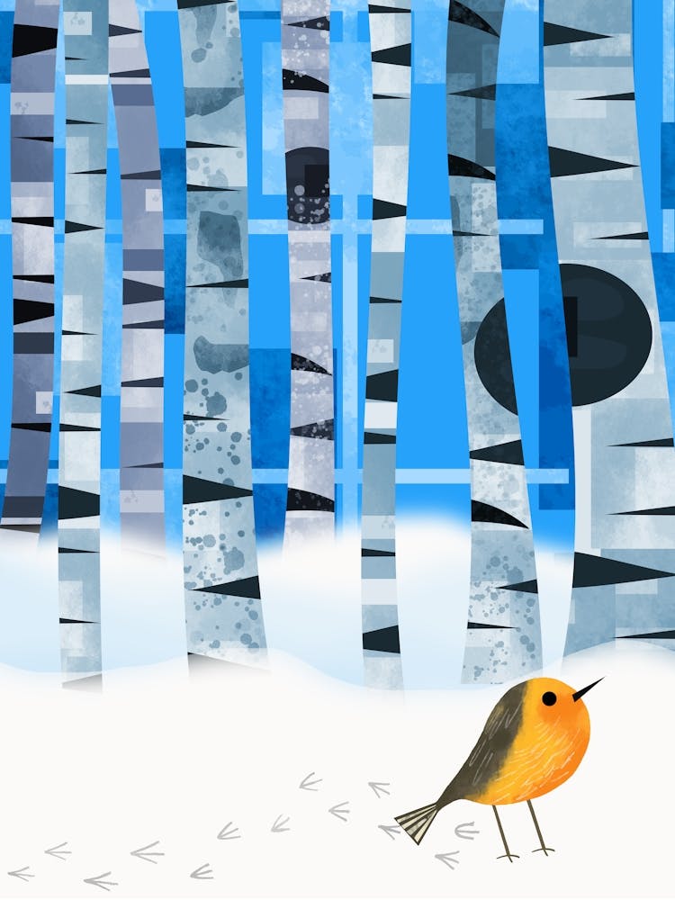 Robin in Snow