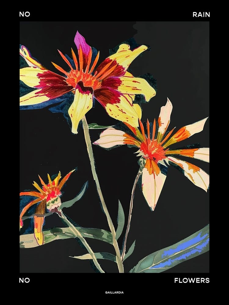 No Rain No Flowers Poster Gaillardia 2