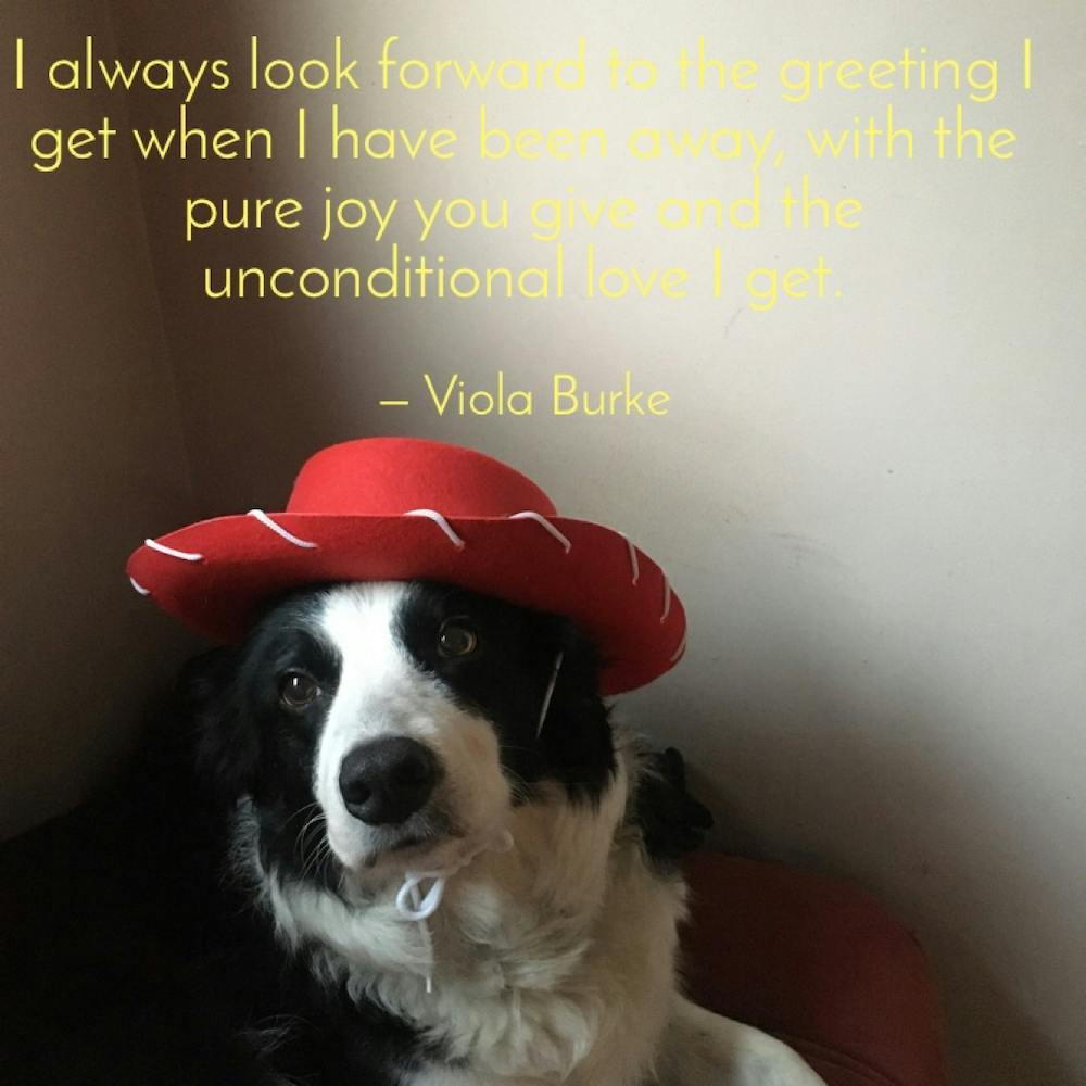 Always Looked To The Greeting When I Have Have Away