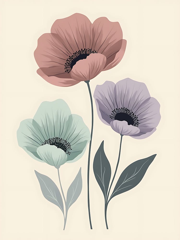 Minimalist Wildflower Aesthetic