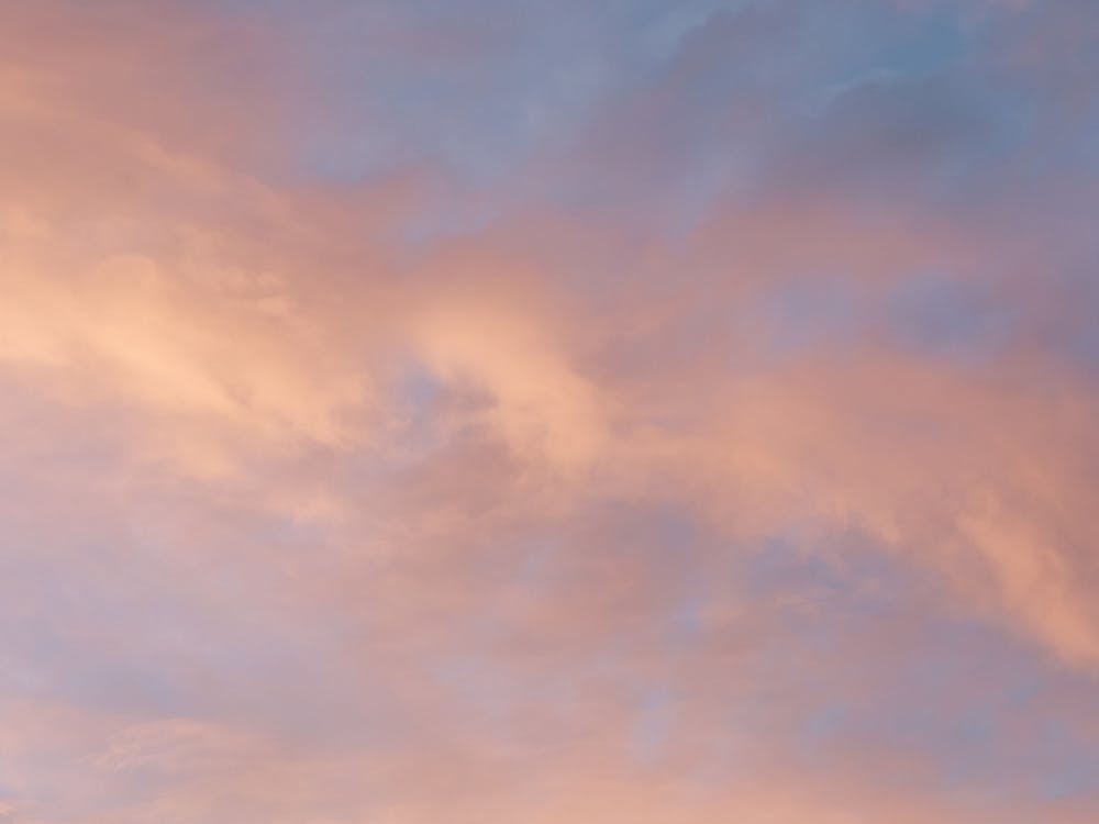 Clouds in Bloom