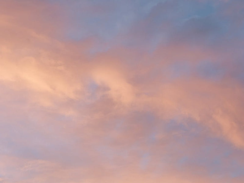 Clouds in Bloom