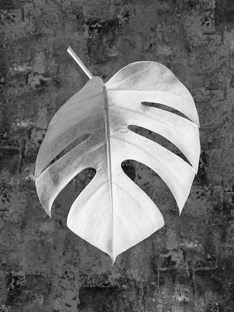 Blumen-Collage Kunst 5