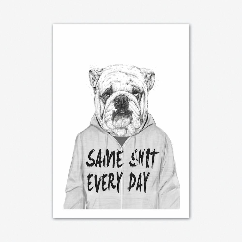Same Shit Every Day