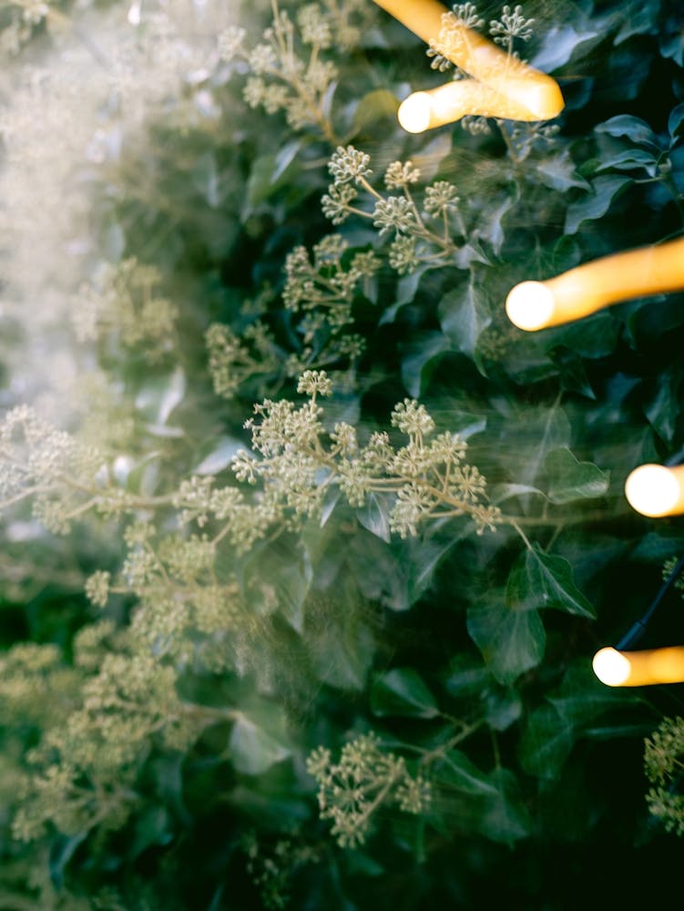 Blurred Light, Madrid, Spain