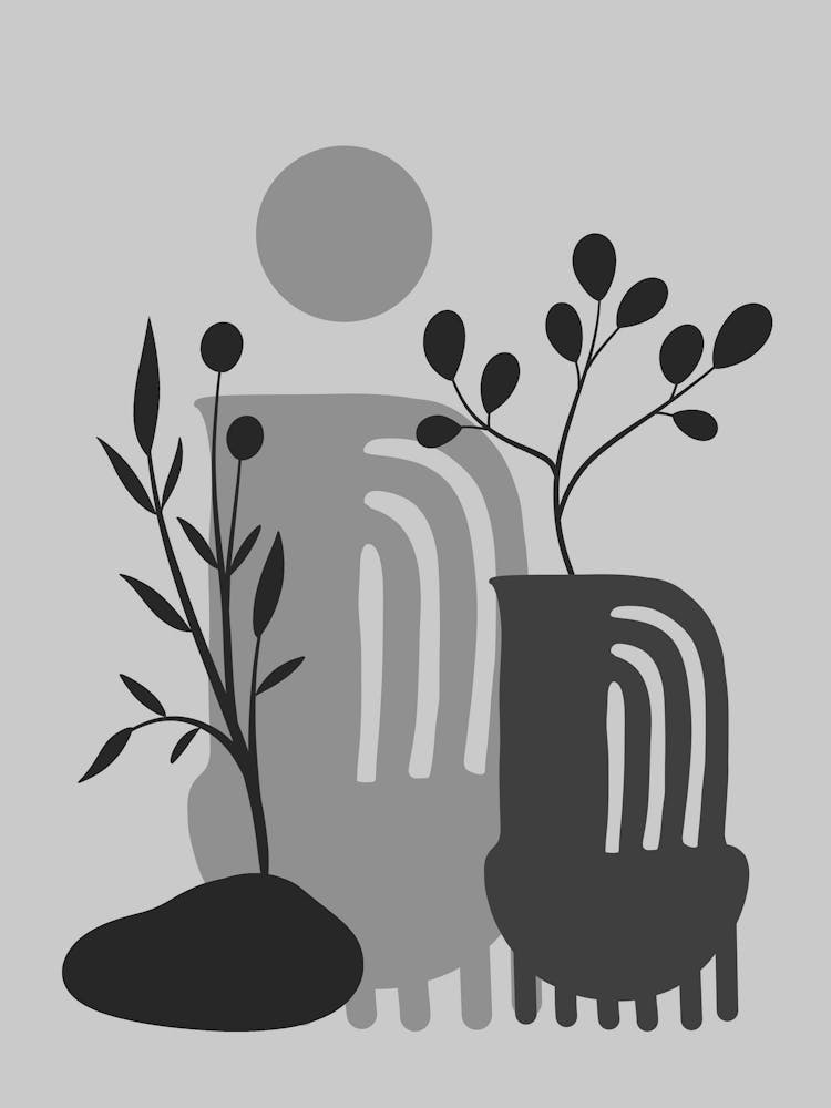 Vases And Plants