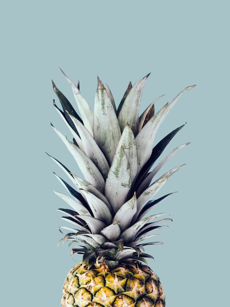 Pineapple collage 4