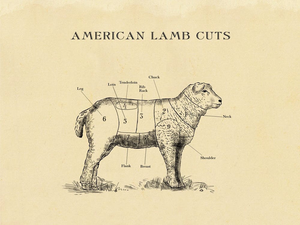 American Lamb Butcher Cuts Chart