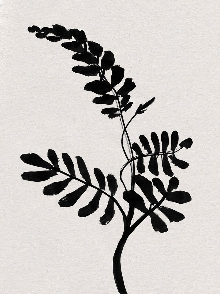 Mono Flower 2