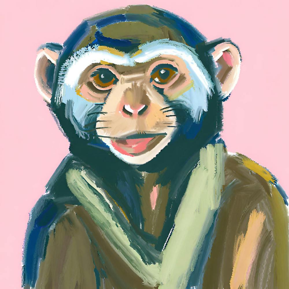 Capuchin Monkey 01