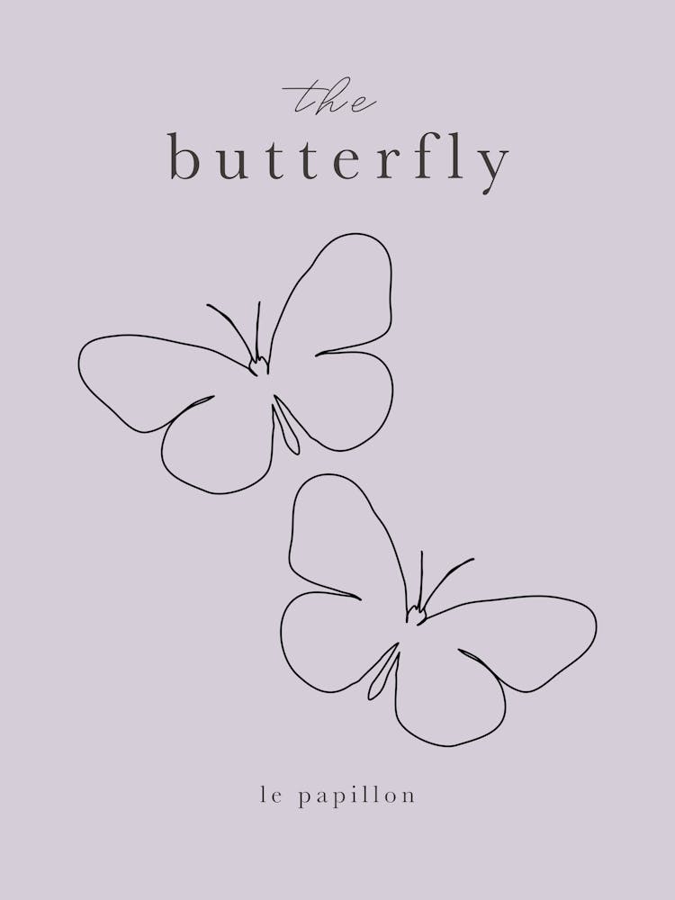 The Butterfly
