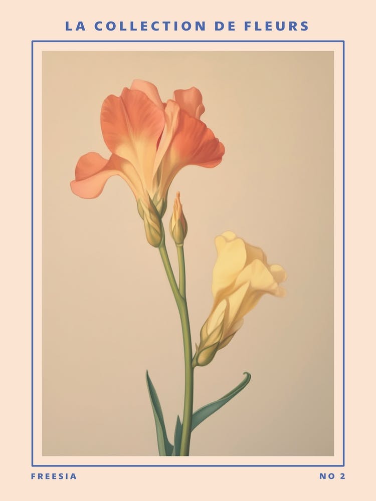 Freesia 2 French Flower Botanical Poster