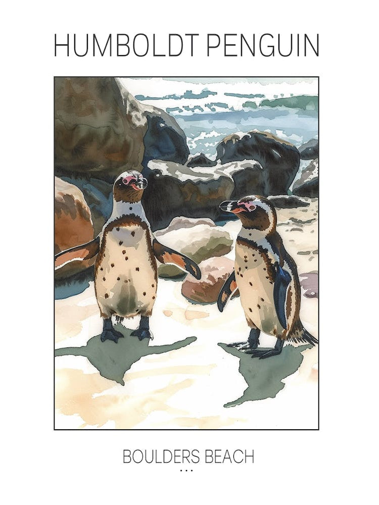 Humboldt Penguin Boulders Beach Simons Town Watercolour Painting 3 Poster