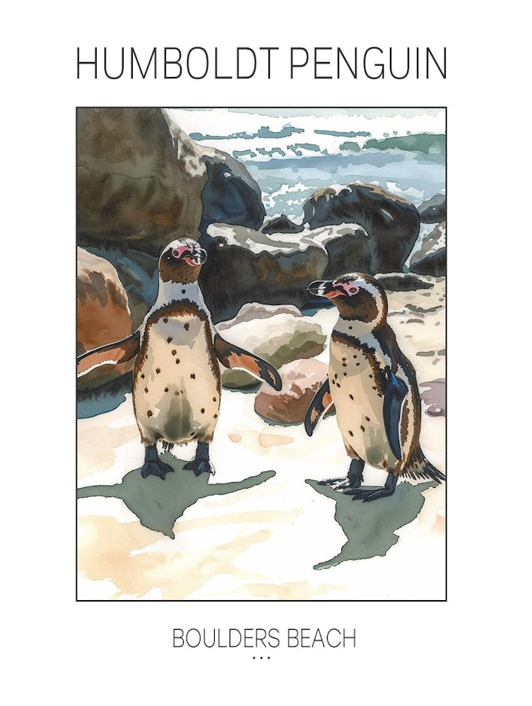 Humboldt Penguin Boulders Beach Simons Town Watercolour Painting 3 Poster