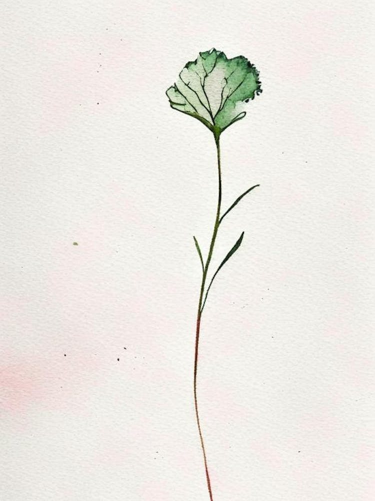 Carnation Leaf Minimalist Watercolour