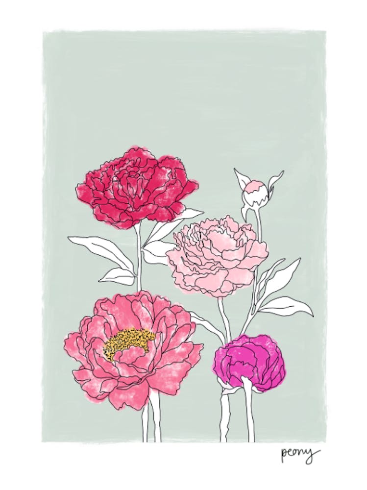 Peonies