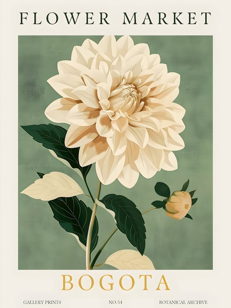 Dahlia Flower Market Bogota