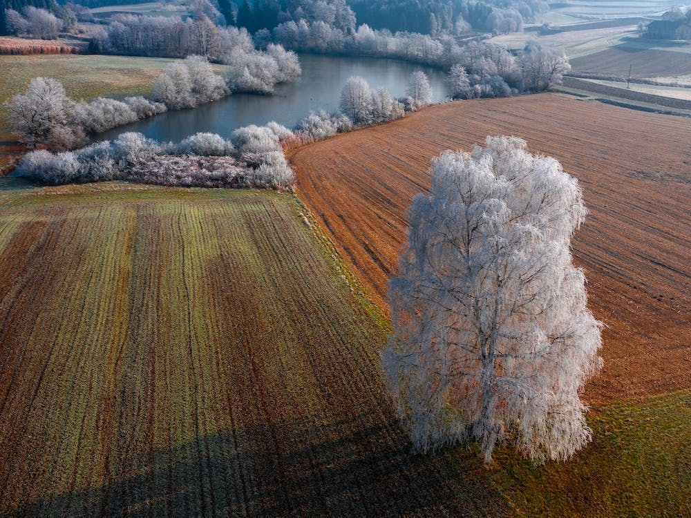Winter Idyll