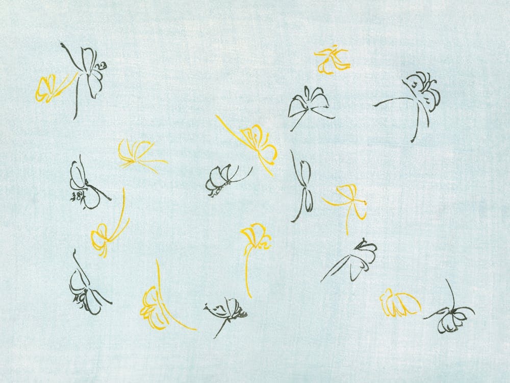 Abstract Butterfly , Cho Senshu 1