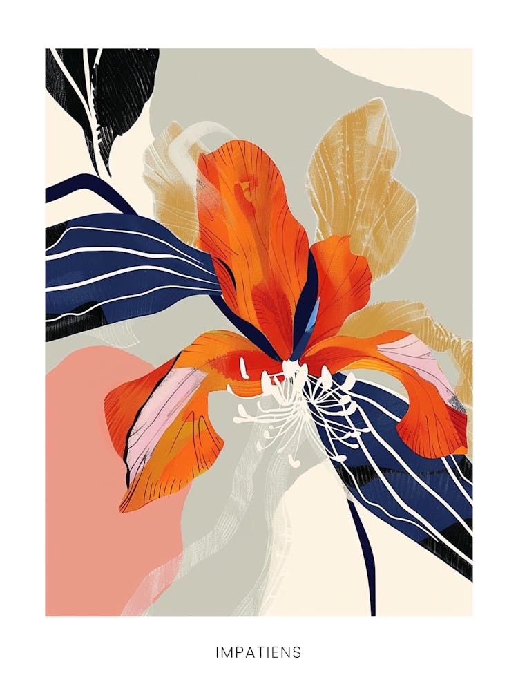 Colourful Flower Illustration Poster Impatiens 1