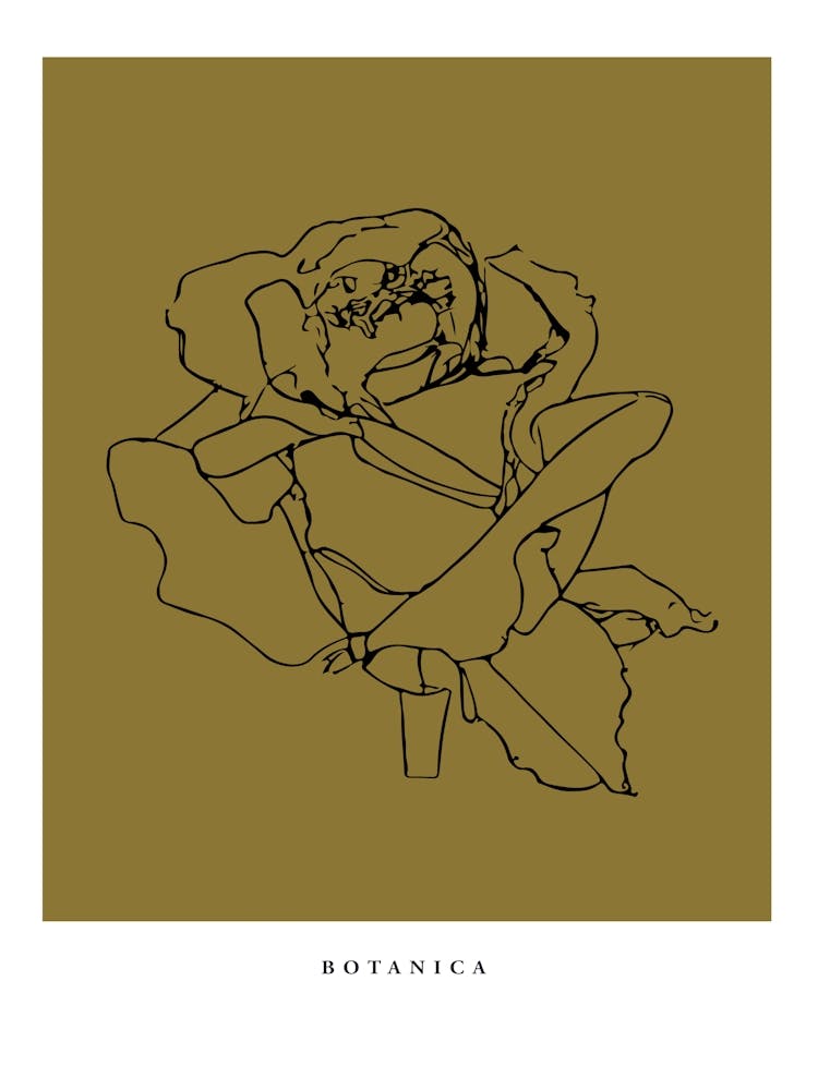 Botanica Linie Nr. 01