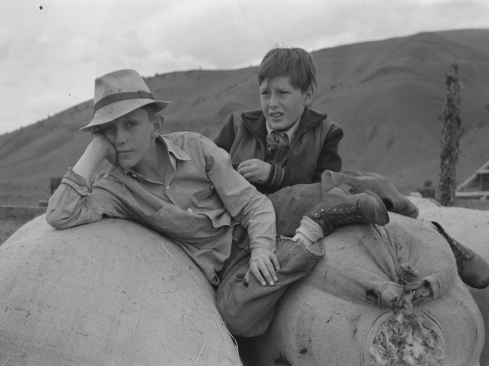 Untitled Photo, Possibly Related To Boys On Sacks Of Wool, Malheur County, Oregon By Russell Lee