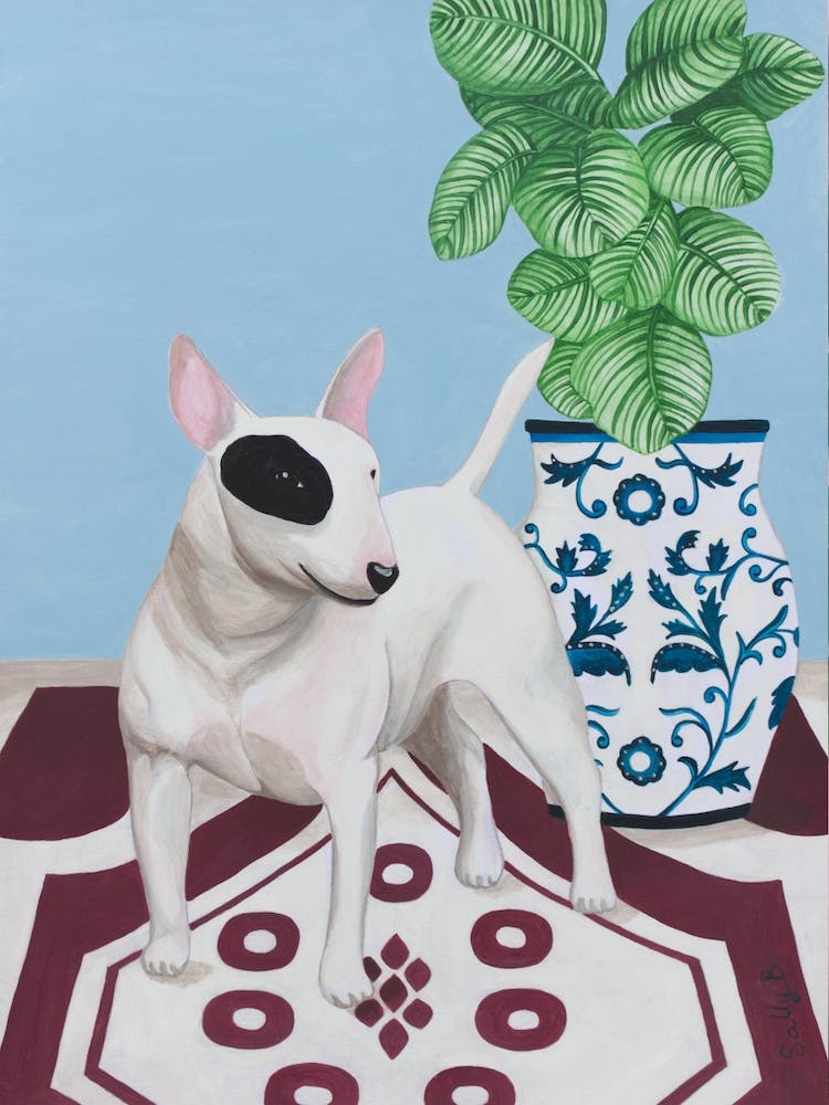 English Bull Terrier With Plant