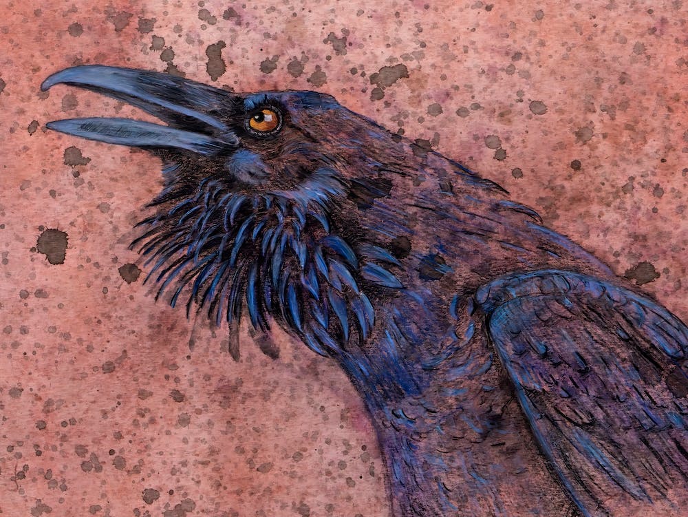 Angry Raven