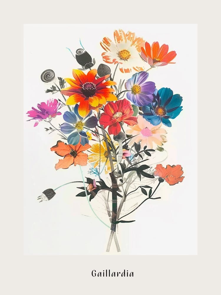 Affiche de Bouquet de Fleurs Gaillardia en Collage