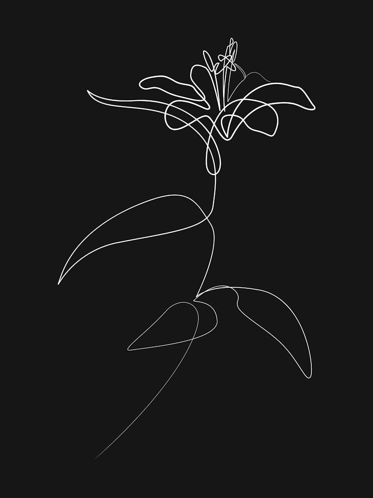 Lily 0724 Black
