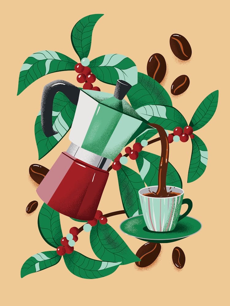 Moka Pot | Morning Coffee