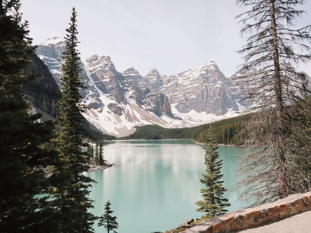 Forested Canada Lake