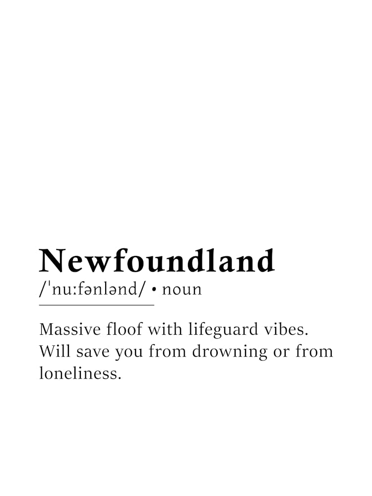 Newfoundland Definition Poster - Dictionary