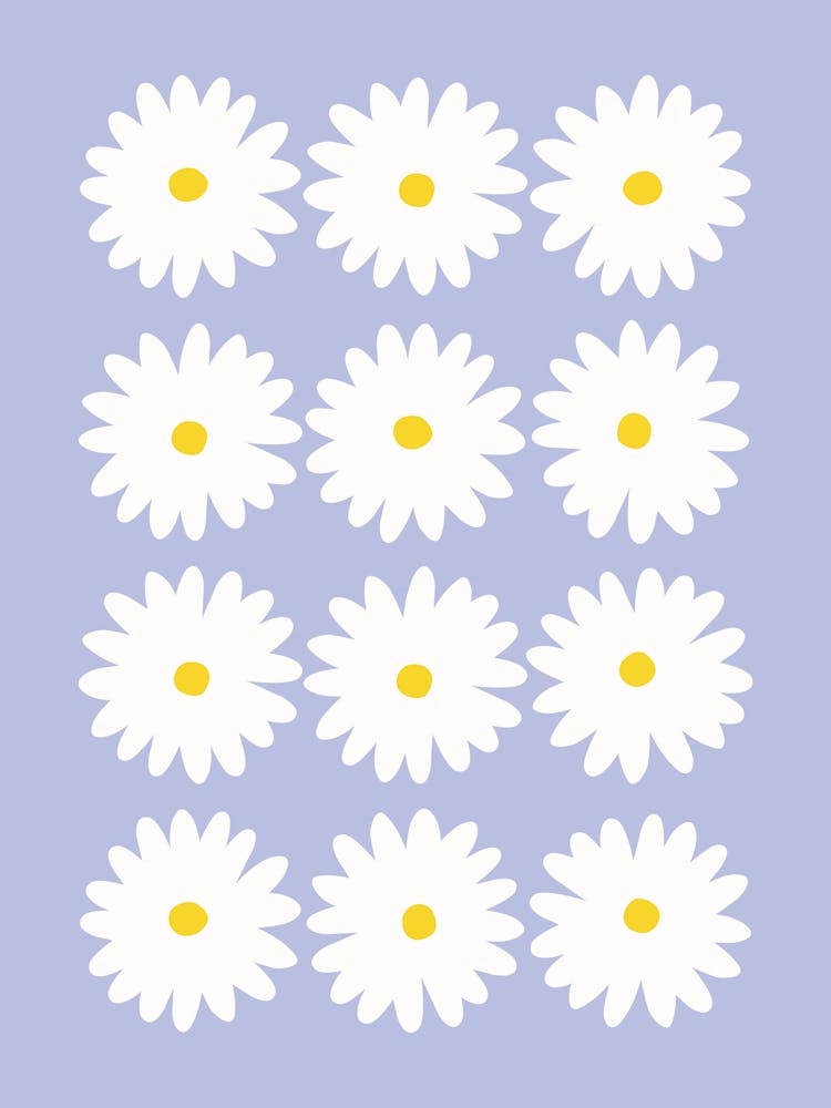 Daisy Blue