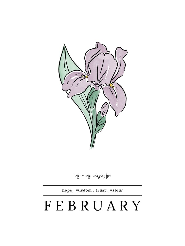 February Iris Birth Flower 2