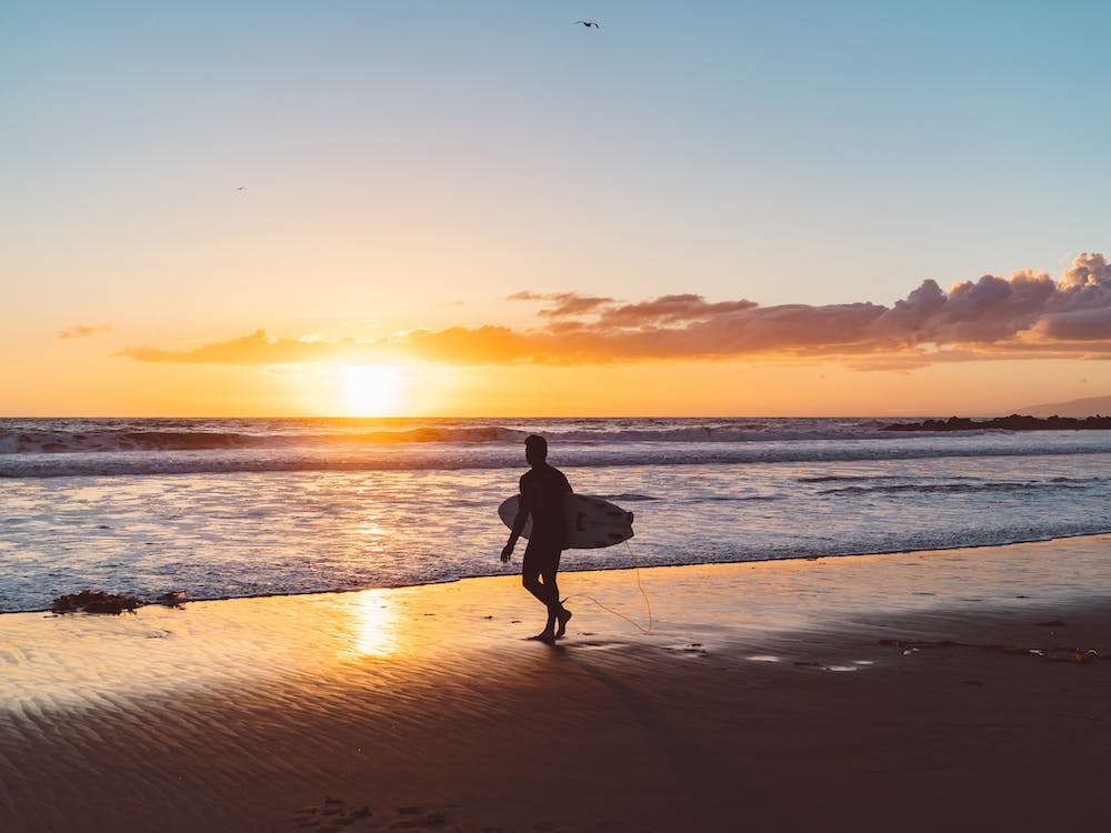 Venice Beach Surfer II