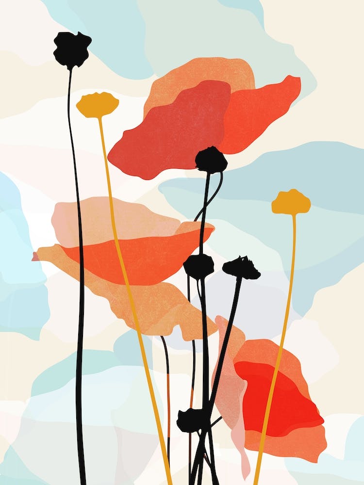 Poppy