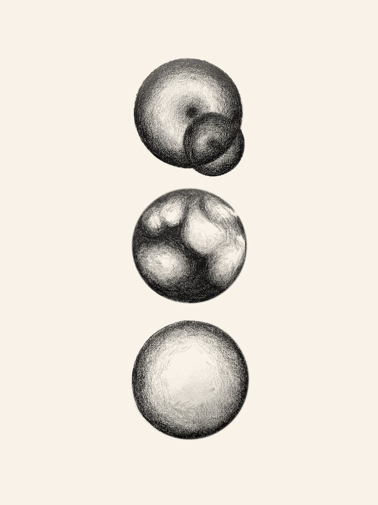 3 New Worlds 3
