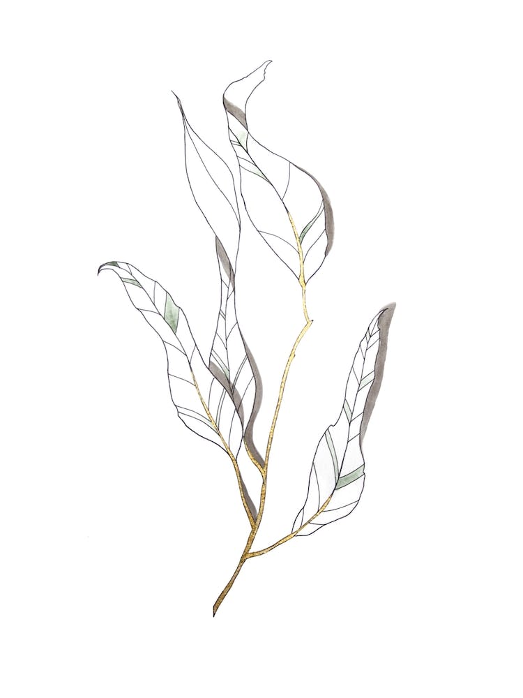 Graphic Bay Leaf Print