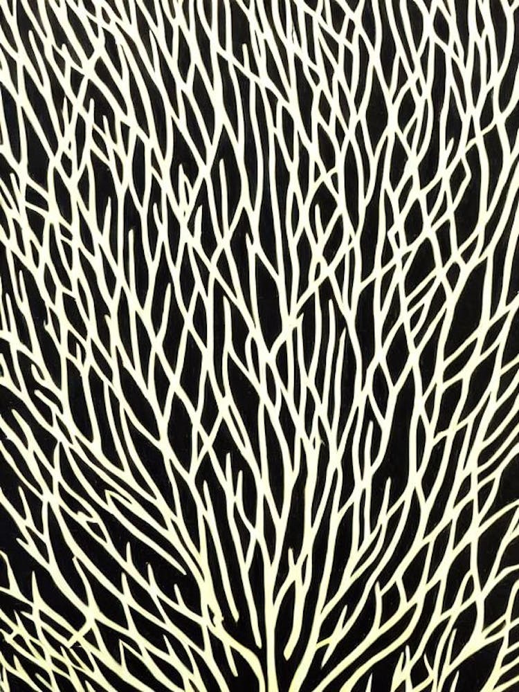 Acropora Millepora Capricornis Ii Linocut