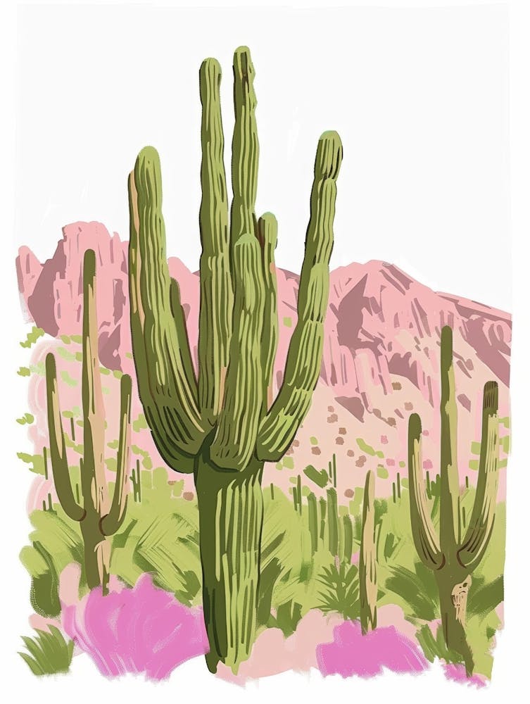 Cactus In The Desert 14