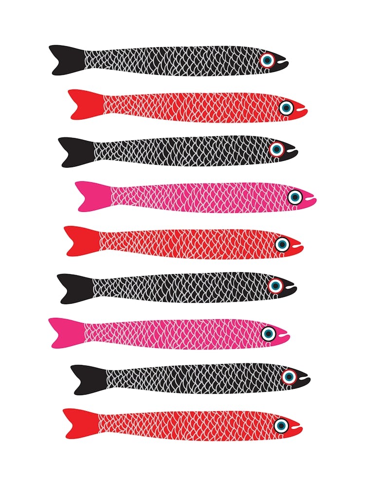 ANCHOVIES Retro Swimming Fish Horizontal in Black Fuchsia Pink and Red on White