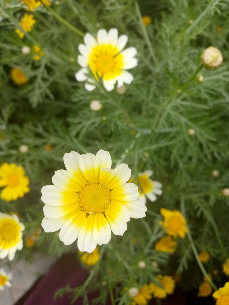 Img 20240328 091637 357