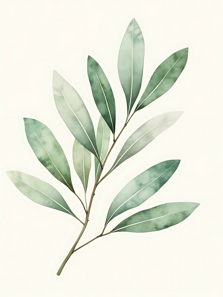 Lush Sage Green Botanical Composition