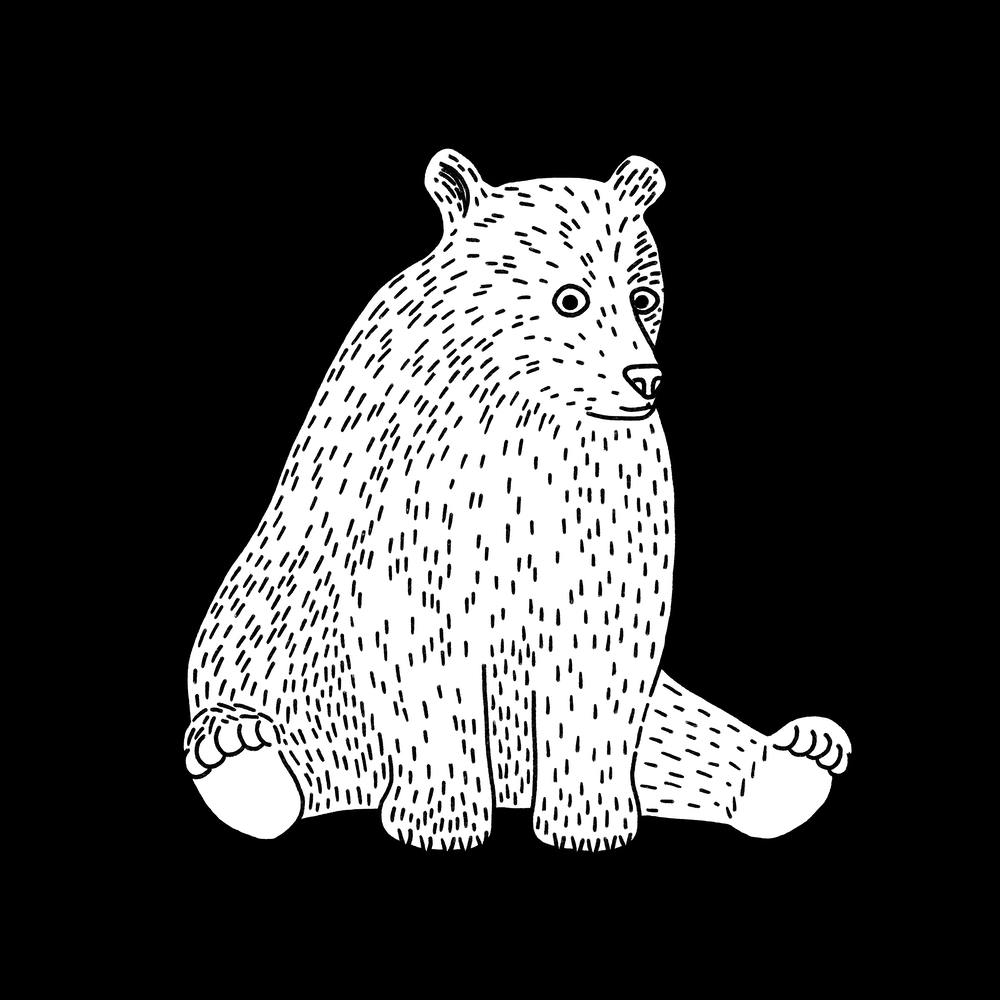 Sitting Bear Square