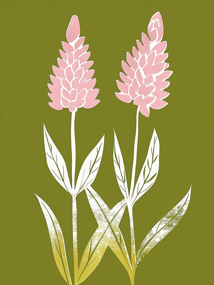 Pink & Green Celosia 2