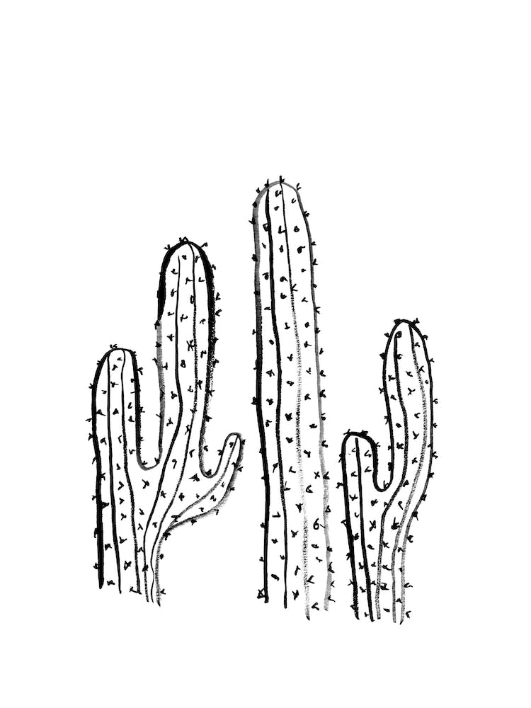 Cacti I