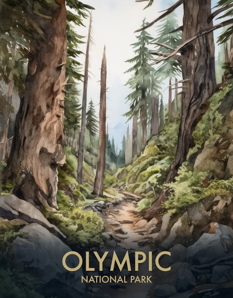 Olympic National Park Vintage Travel Poster 4