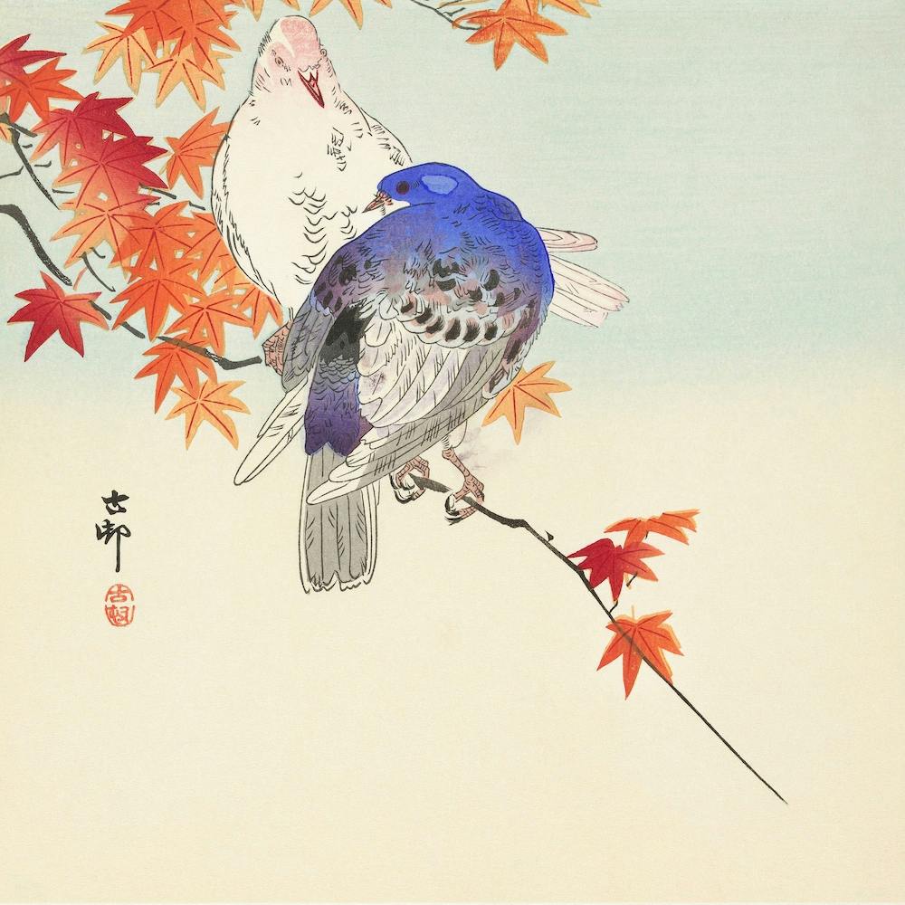 Two Pigeons On Autumn Branch, Ohara Koson