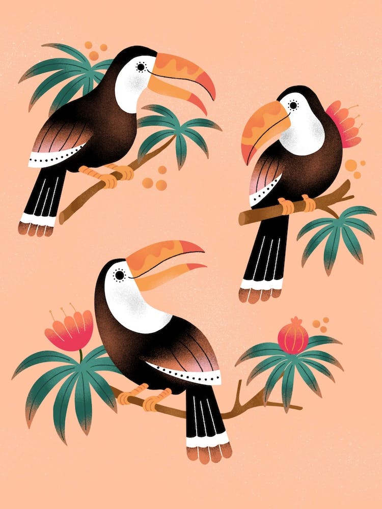 Gossiping Toucan Trio